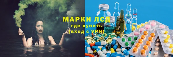 ПСИЛОЦИБИНОВЫЕ ГРИБЫ Алексеевка