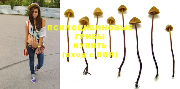 круглые Алексин