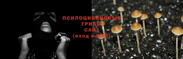 марки nbome Алзамай