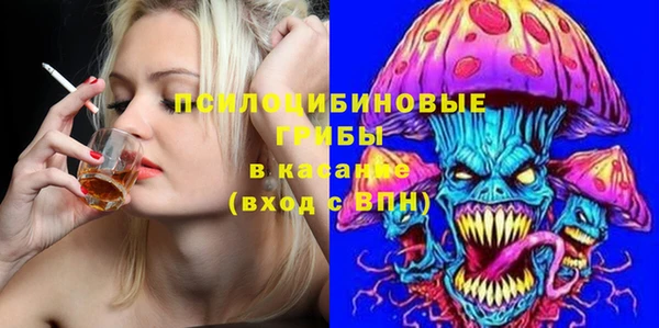 ПСИЛОЦИБИНОВЫЕ ГРИБЫ Алексеевка