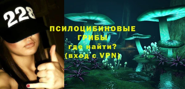 ПСИЛОЦИБИНОВЫЕ ГРИБЫ Алексеевка