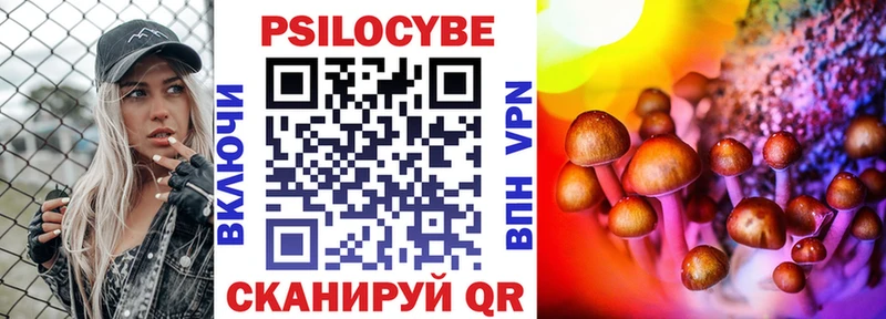 гидра как зайти  продажа наркотиков  Чадан  Галлюциногенные грибы Psilocybe 